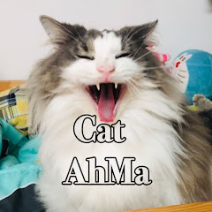 Cat AhMaアイコン画像
