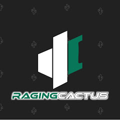 RagingCactus net worth