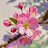 @user-ym3ze8uj9r