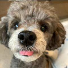 エツ&メルのせいかつアイコン画像