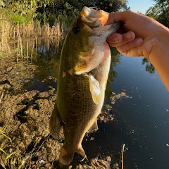 TRT Fishing