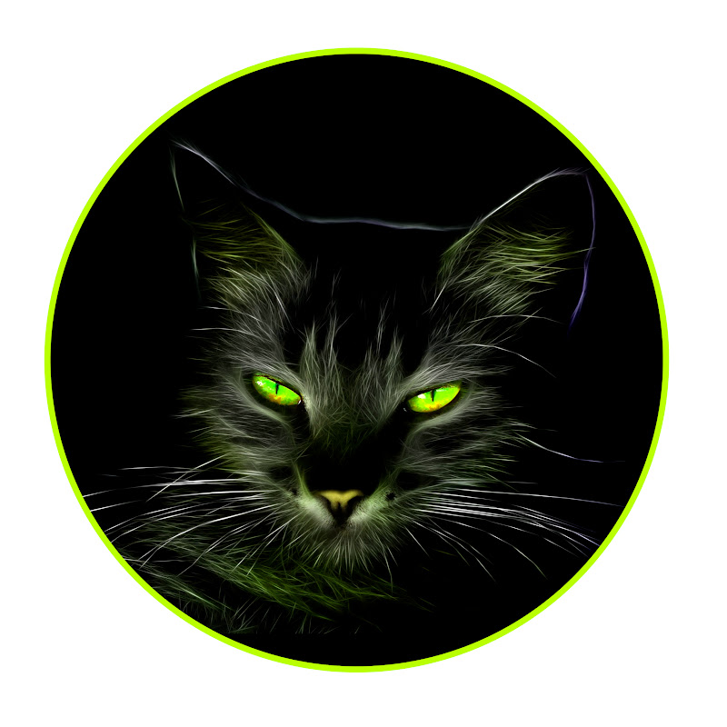 Cat Games Official