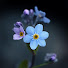 JfyqKwKXJmk-channel-avatar-Aurica FIORina