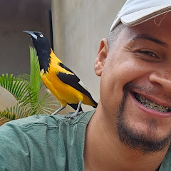 Lindomar Araújo 