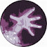 IoImsJ1fvnM-channel-avatar-Kamisayo