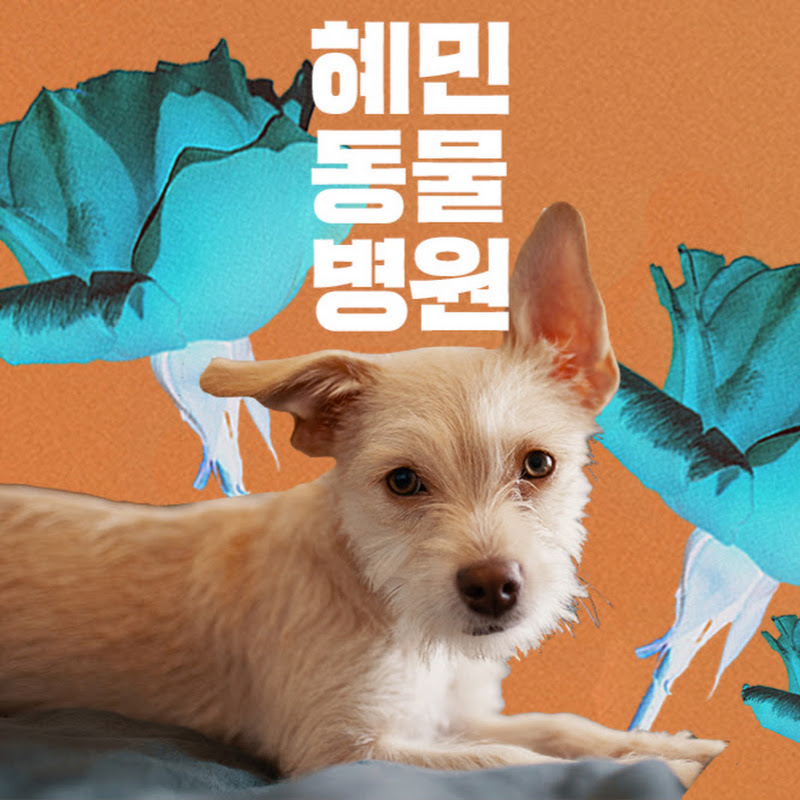 난치병 동물 침치료