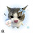 @Amber-h5g1m