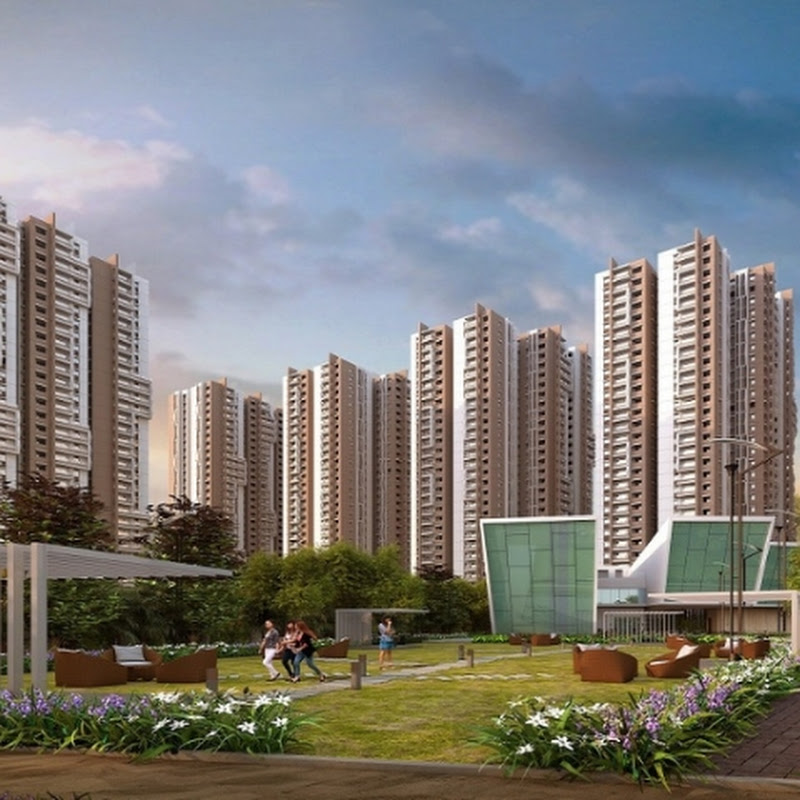 Real Estate Properties