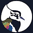 L8DiaBcwYLE-channel-avatar-Cenaida