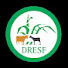 mAWgb546_Nw-channel-avatar-dresfmedia