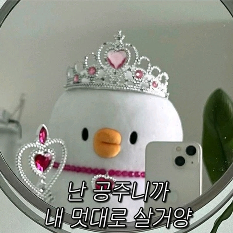 유빈이의 일상