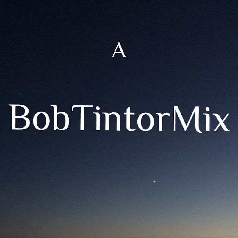 BobTintorMix