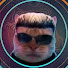 bKYRd2H3lrc-channel-avatar-Albert Whiskers