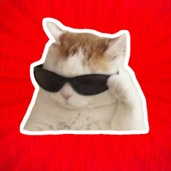 My cat Ñe