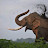 Travel With Dinuka