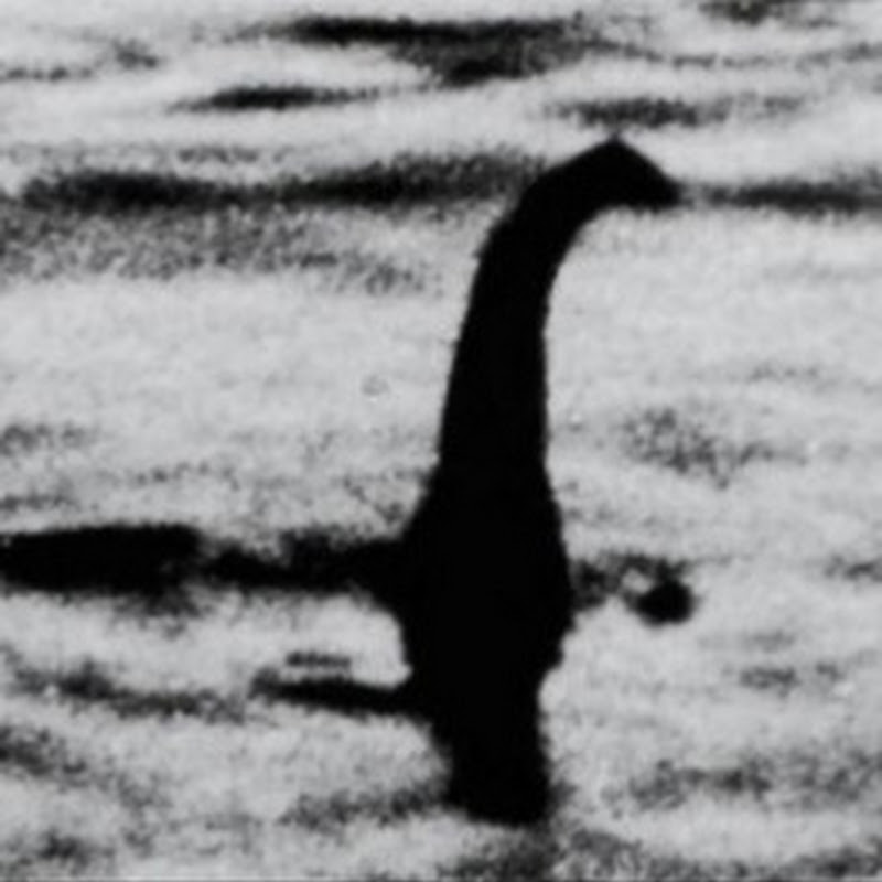 尼斯湖水乖の乒乓 Logo