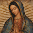 YwJBmc0GBlc-channel-avatar-EL ROSARIO DIARIO