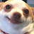 @user-yr1im8oy8r