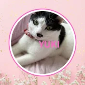 幸ちゃんチャンネル(yukichanchannel)