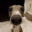 Avatar photo