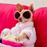 yV8PxiqZHOQ-channel-avatar--Cookie-