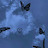 @حسنأحمد-ظ9س1ن
