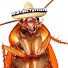 KH69z3RftoM-channel-avatar-Roach Chan.