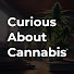 HcZ2L81vsrA-channel-avatar-Curious About Cannabis