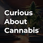Curious About Cannabis logo