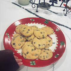 willow!! † ⭐️💐