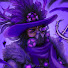 yisP1zBWmlQ-channel-avatar-TheLazyDucky