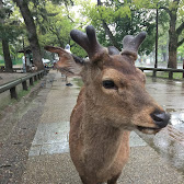 チャンネルアイコン