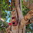 3y_ne9j_w6M-channel-avatar-Un Cut Diaries