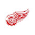 Detroit Red Wings News Today