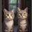 @misn757 Avatar