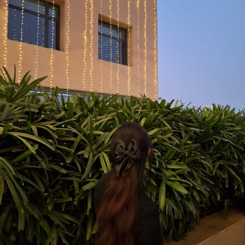 studyholicc