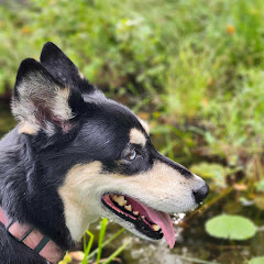 Northwoods adventures