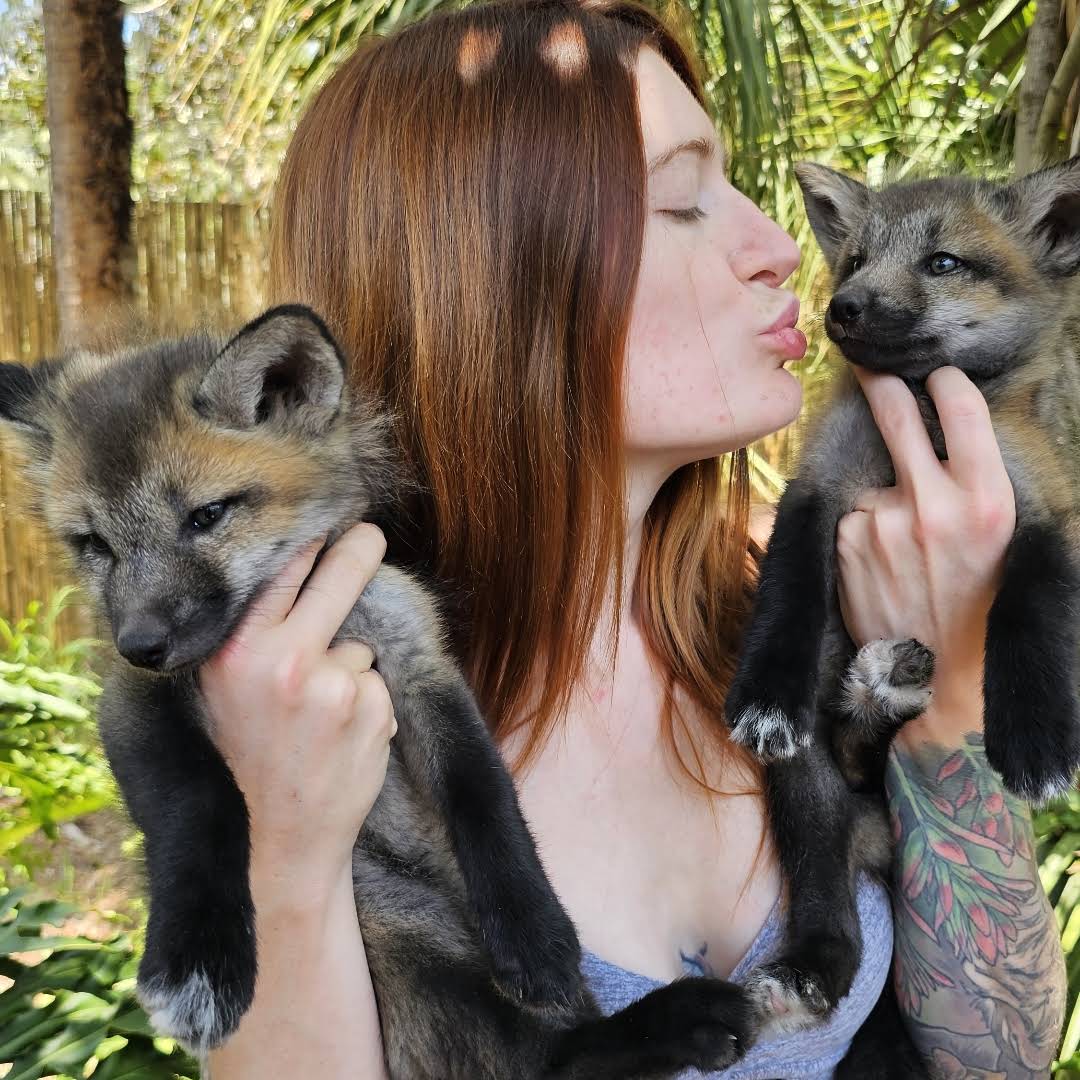 Post from Saveafox
