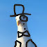 ESaUmfWiWEw-channel-avatar-The sophisticated seagull 