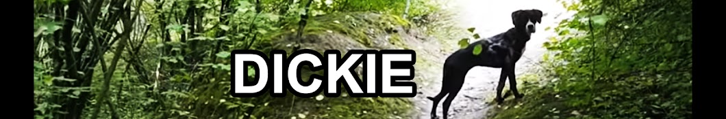 Dickie the Boxador رمز قناة اليوتيوب