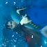 G9Aoo_uOjlI-channel-avatar-Felipe damas fishing vlog 