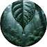 2K75pn4wBkY-channel-avatar-Rainy Forest