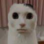 Idle Avatar
