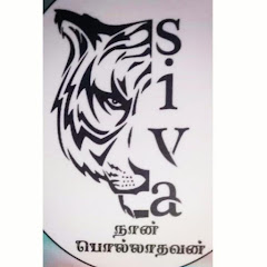 M. S MEDIA
