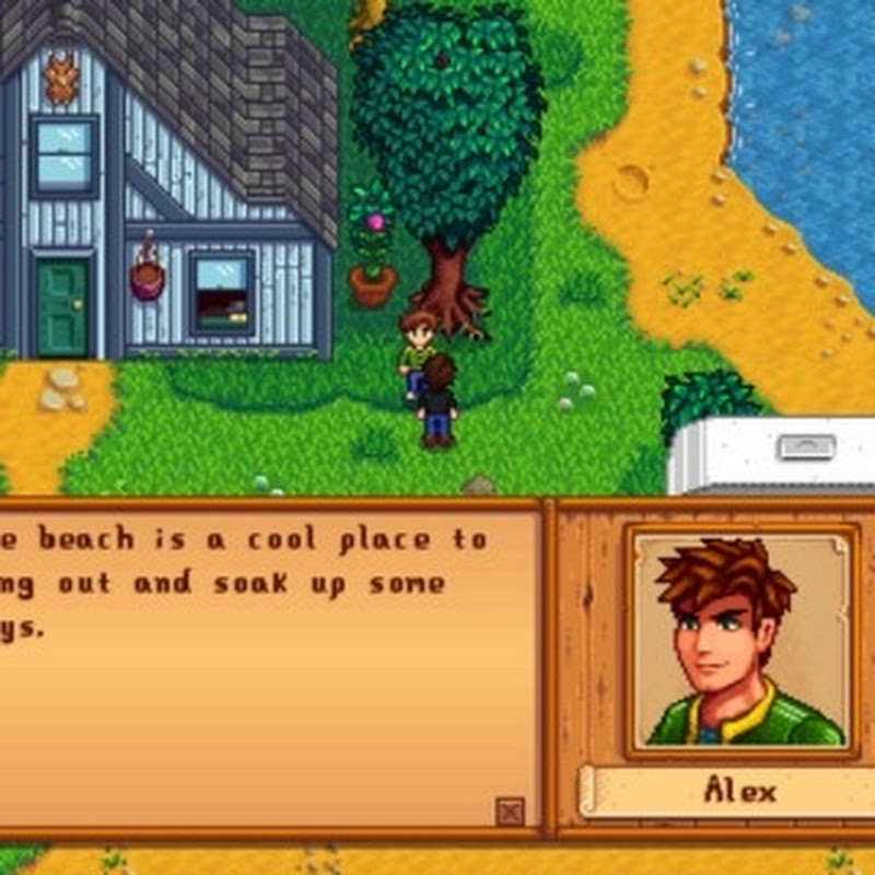 professional stardew valley 