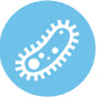 Multicellular System Dynamics Lab logo