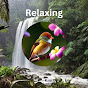 Soothing Relaxing logo