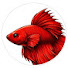 WixgUP0XsE0-channel-avatar-Aquarium Fish