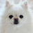 @내사랑털뿜뿜이들