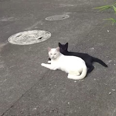 パンダだよアイコン画像